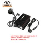 Sạc xe nâng Hangcha YLCH24V10A